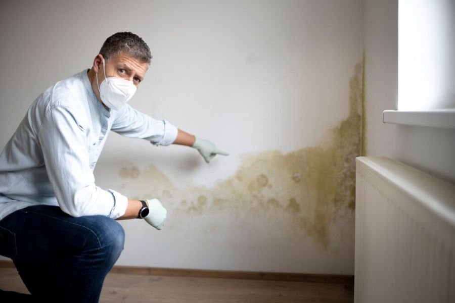 Mold Removal and Remediation Services Buellton CA